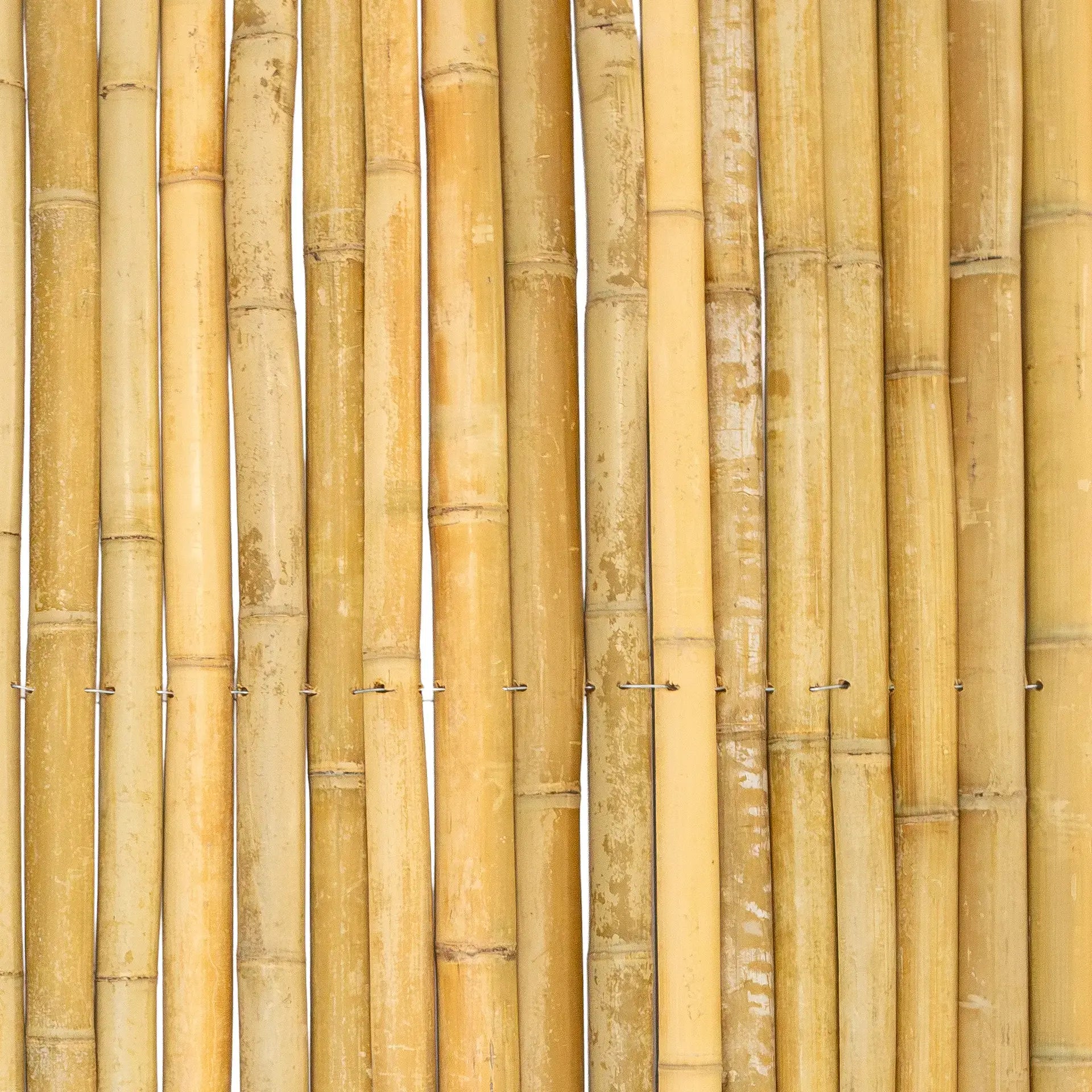 Bamboemat halfrond 50-60 mm - 100 x 180 cm